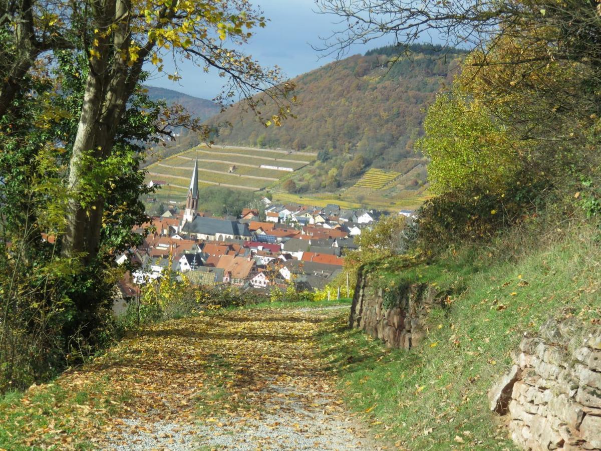 Ferienwohnungen Haus Albert Großheubach Extérieur photo