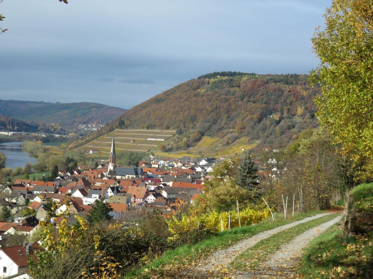 Ferienwohnungen Haus Albert Großheubach Extérieur photo